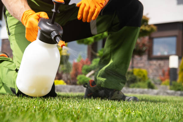 Best Insect Control  in Atlanta, GA