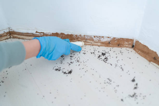 Best Affordable Pest Control Services  in Atlanta, GA